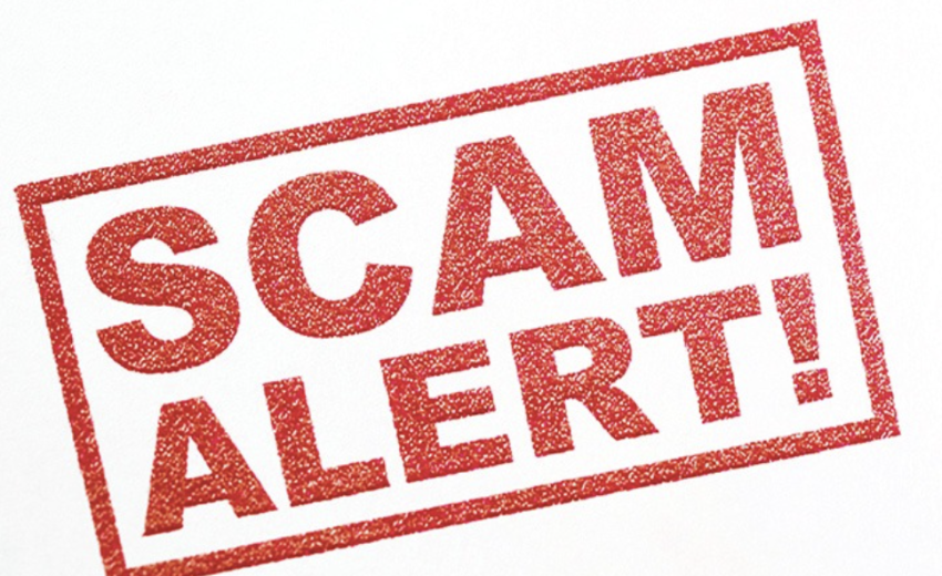 Assetvyldaris.com / Assetvyldaris.pro Scam Review